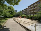 栗ケ丘公園(公園)まで323m サンハイツ中桜塚