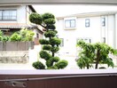室内からの展望 イオテラスNAKAMURA