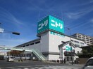 ニトリ(電気量販店/ホームセンター)まで240m ハッピ－伊丹