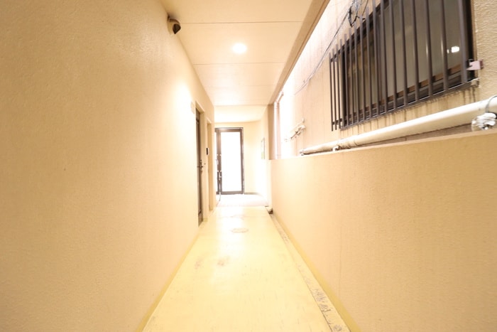 その他 レグレスコ－ト