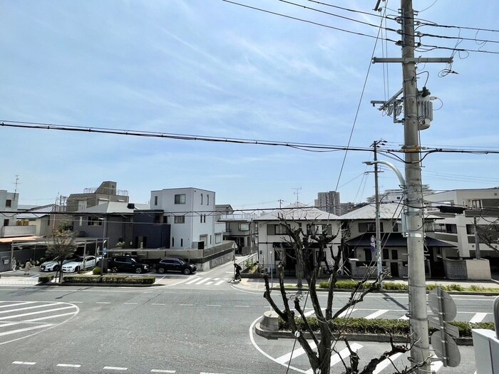 室内からの展望 Sansevieria 夏原