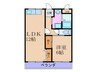ロベリア弐番館 1LDKの間取り