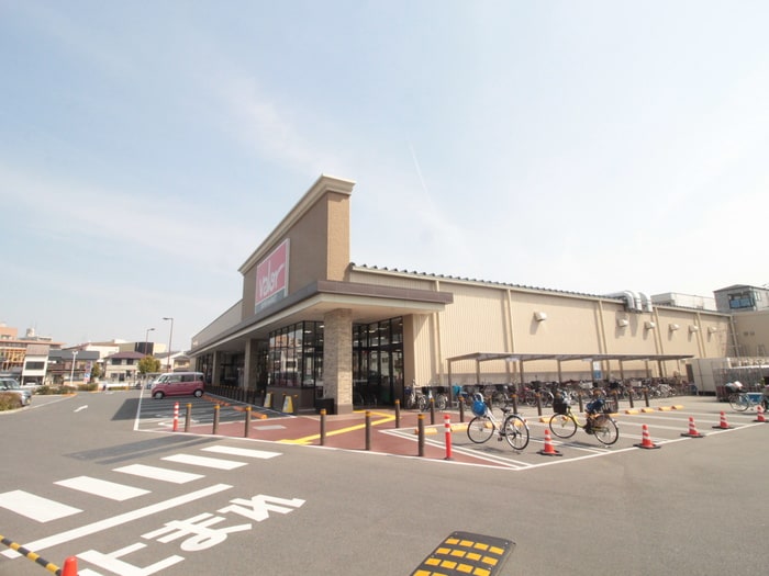 周辺環境 Ｆｏｒｅｓｔ＋