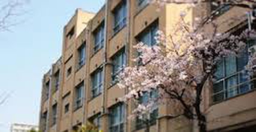 塩草小学校(小学校)まで201m 渡辺芦原ビルマンション