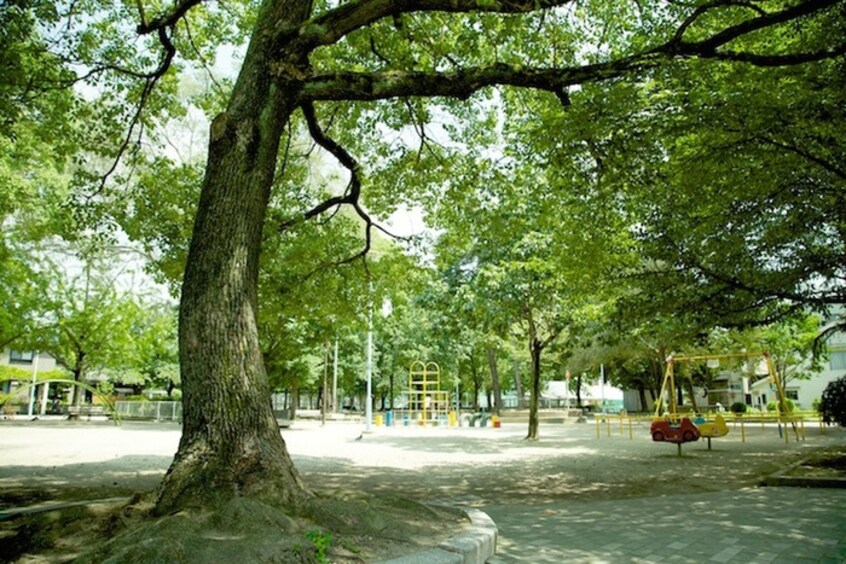 都島公園(公園)まで160m メゾンドソレイユ
