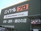 ロイヤルプロ(電気量販店/ホームセンター)まで600m シャルマンヴィオラ
