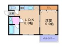 エルムハイツの間取図