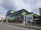 ロイヤルホームセンター(電気量販店/ホームセンター)まで700m 森之宮スカイガーデンハウス