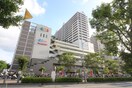 ACTA(ショッピングセンター/アウトレットモール)まで985m ピュア河原