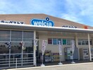 ウエルシア加古川水足店(ドラッグストア)まで500m エーデルハイム