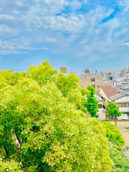 室内からの展望 丸栄マンション聖天下