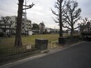 新家第3公園(公園)まで50m ハイマンション