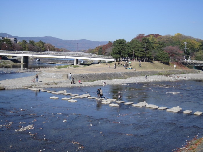 鴨川(公園)まで650m ルピナス下鴨