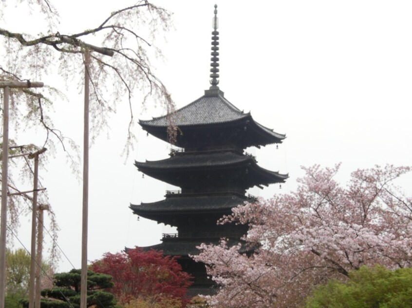 東寺(公園)まで450m ﾒｿﾞﾝ･ﾄﾗｽﾄ京都梅小路公園（101）