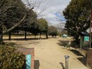 岩ヶ平公園(公園)まで300m スカイハイツ