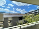 室内からの展望 ヤングヴィレッジ嵯峨