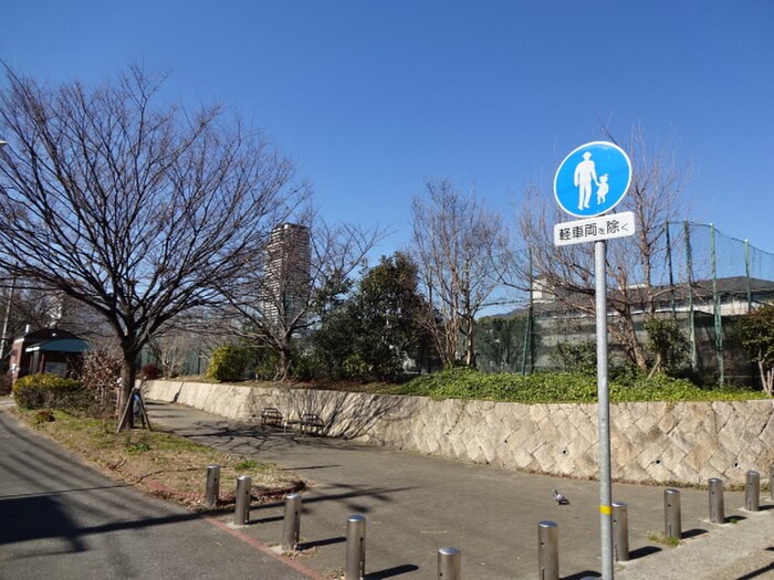 住吉公園(公園)まで350m ル･シェ－ル住吉