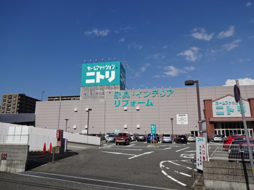 ニトリ 神戸御影店(電気量販店/ホームセンター)まで550m ル･シェ－ル住吉