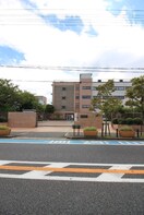 堺女子短大(大学/短大/専門学校)まで550m ＡＫレジデンス