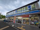 ローソン(コンビニ)まで420m クオーレⅡ納所