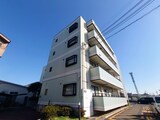 カサド・エムズ