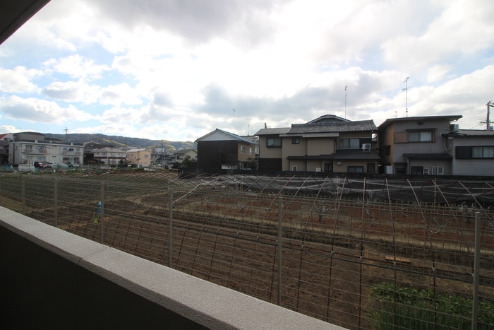 室内からの展望 エストリュエル