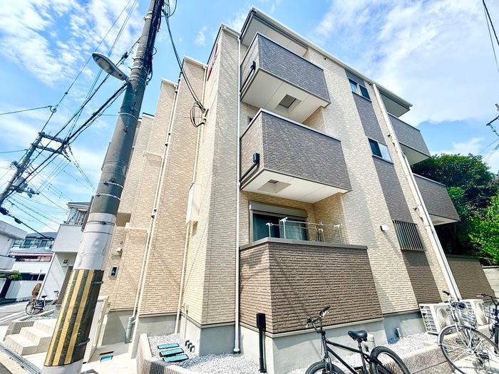 その他 Ｆ　ａｓｅｃｉａ　ｍｉｎｏｓ