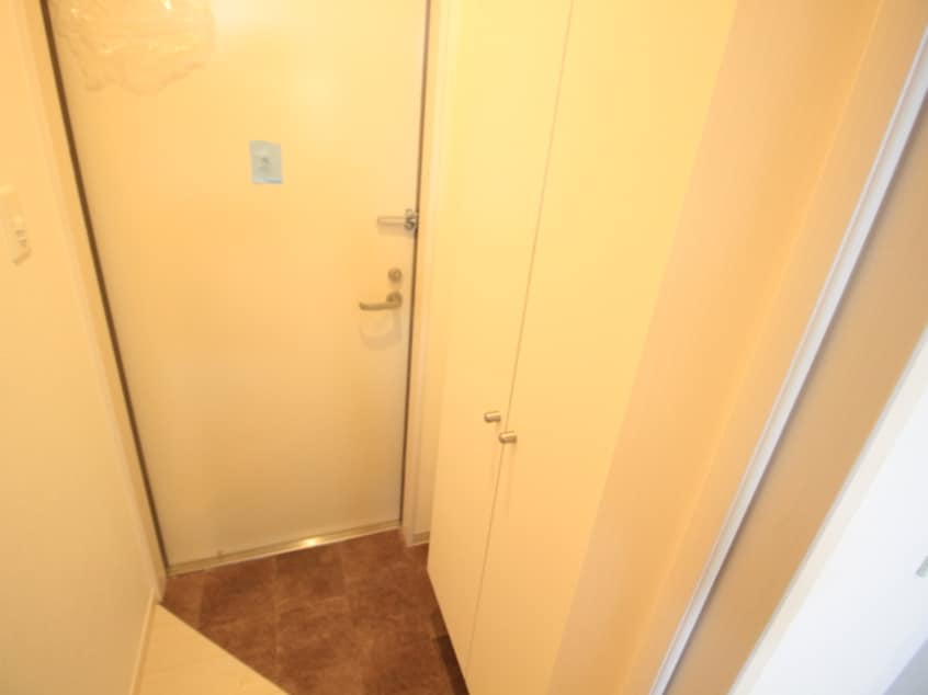 靴箱 Ｆ　ａｓｅｃｉａ　ｍｉｎｏｓ