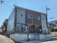 遙