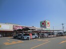 イズミヤ八幡店(スーパー)まで930m 女郎花マンション