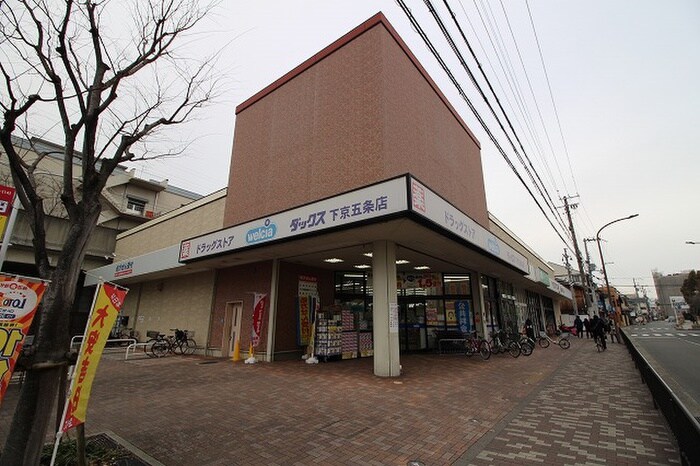 ダックス(ドラッグストア)まで1030m クレアーレ五条大宮