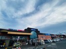 DAIKI(電気量販店/ホームセンター)まで1000m 松治興産ビル