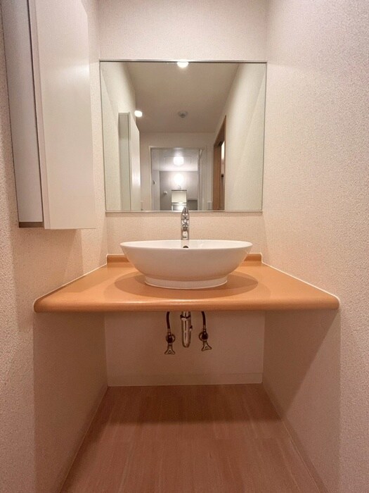 洗面 KDXレジデンス甲南山手