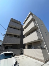 TRICERA Court