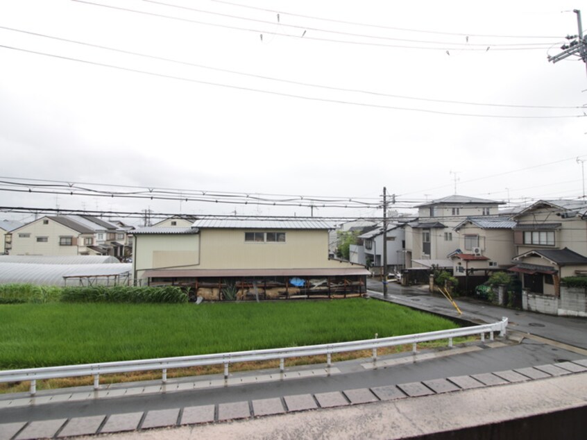 室内からの展望 Ｇｒｅｃｅｆｕｌ　Ｋ