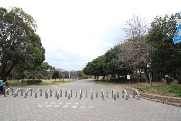 大阪府東大阪市大蓮南(公園)まで10m カトルセゾン