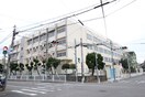 東大阪市立大蓮小学校(小学校)まで1200m カトルセゾン