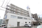 コロナハイツ