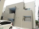 ヴィオニエの外観