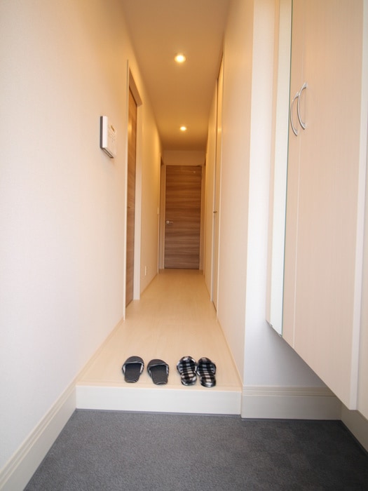 玄関 Ｌｕｍｉｅ　Ｃｏｕｒｔ