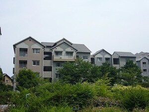 RICｲｰｽﾄｺｰﾄ4番街133号棟（401）