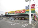 ジャパン(ディスカウントショップ)まで160m グレイス綾園