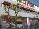 コノミヤ堺東店(スーパー)まで17m Ｆｕｔｕｒｅ一条