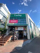 ラッキー長瀬店(スーパー)まで800m Ｆ　ａｓｅｃｉａ　Ｄｉｏｎｅ