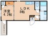 YSmaisonGRACE 1LDKの間取り