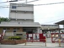 堺市立浜寺小学校(小学校)まで1000m アド－ニス浜寺