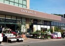 カインズ(電気量販店/ホームセンター)まで2400m シャトレンうぐいす