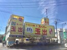 スーパー玉出御陵店(スーパー)まで300m ジュネス7番館