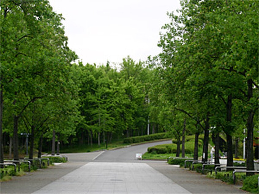 久宝寺緑地(公園)まで1550m プレゼンス弥刀A