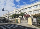 弥刀中学校(中学校/中等教育学校)まで560m プレゼンス弥刀A